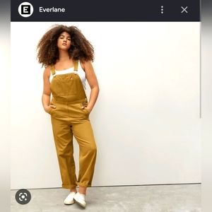 Everlane Canvas Overalls Size 8
